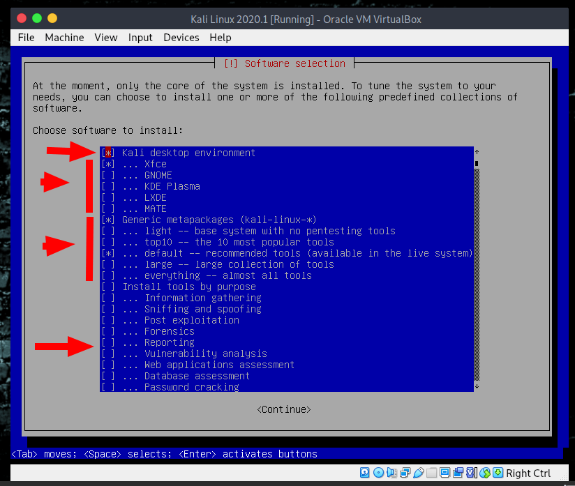 Kali Linux software selection