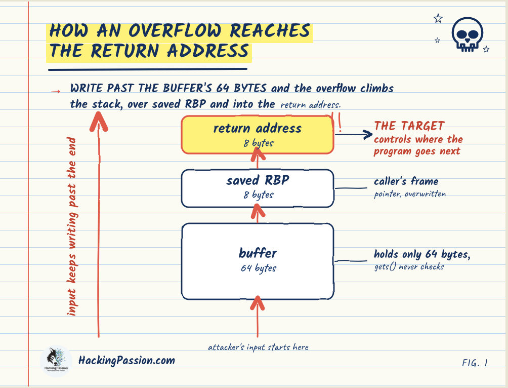 /buffer-overflow-explained/how-overflow-reaches-return-address.png