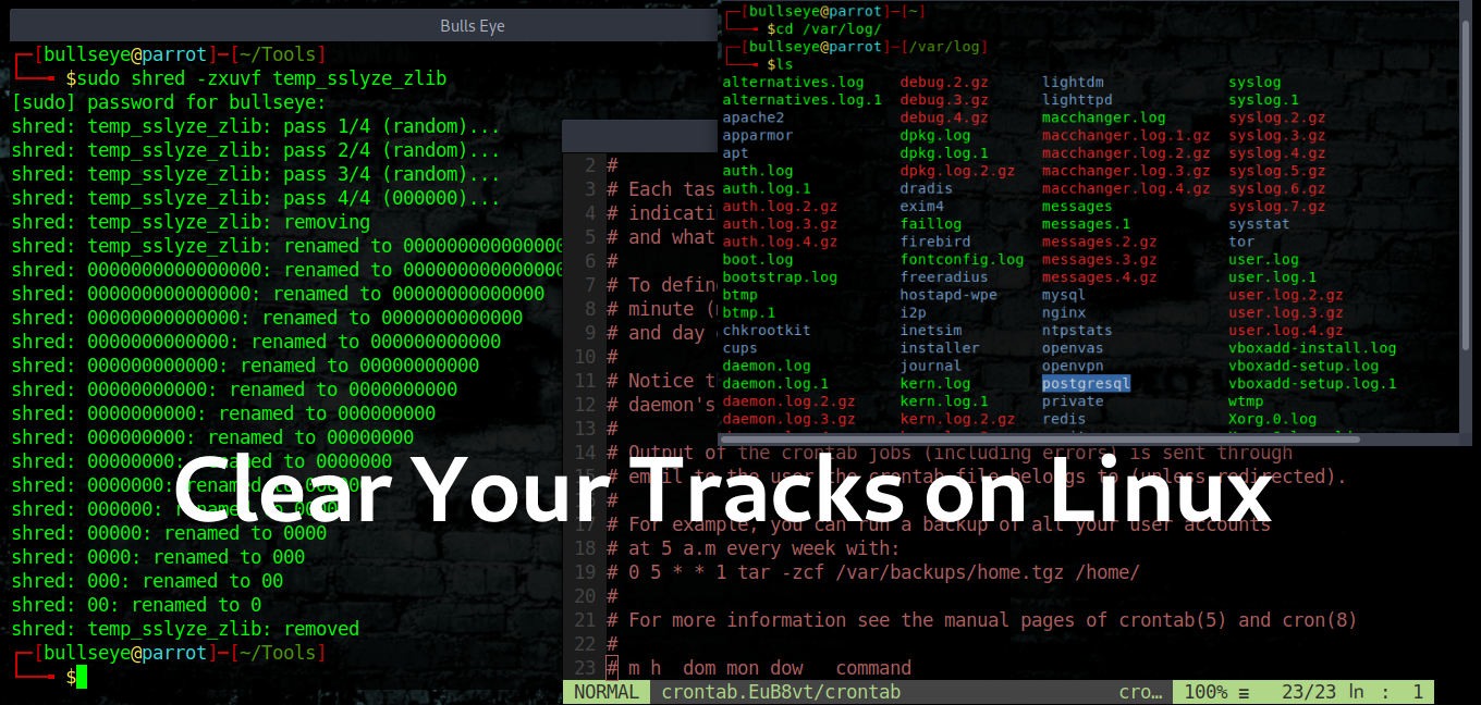 Trackip - Advance IP tracker tool in Kali Linux - GeeksforGeeks