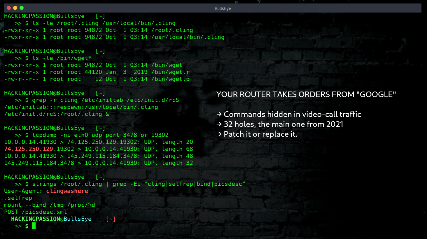 /cling-botnet-stun-google-disguise/cling-botnet-stun-google-disguise.png