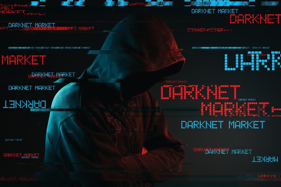 In this article + video, I will cover how to install Tor on Kali, The Hidden Wiki, Install Deep Explorer for Searching the Dark Web + More. /install-tor-on-windows-kali-linux-and-search-the-dark-web/featured-image-preview.jpg