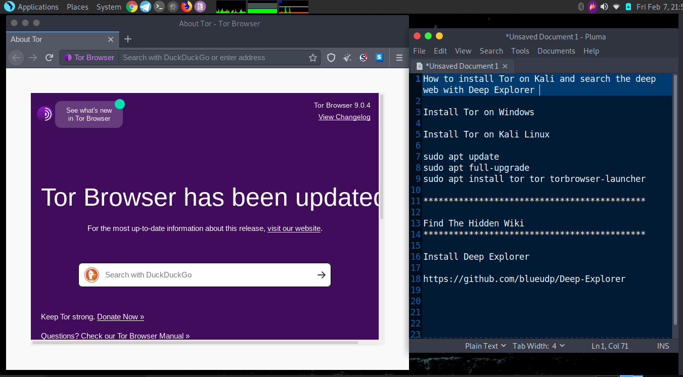 Kali browser. Окно Tor.