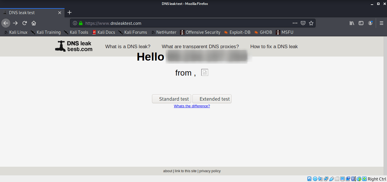 DNS Leaks test hack and exploit printers
