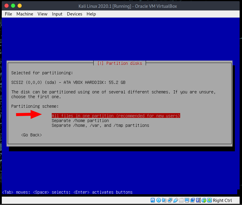 Kali Linux Partition scheme VirtualBox setup