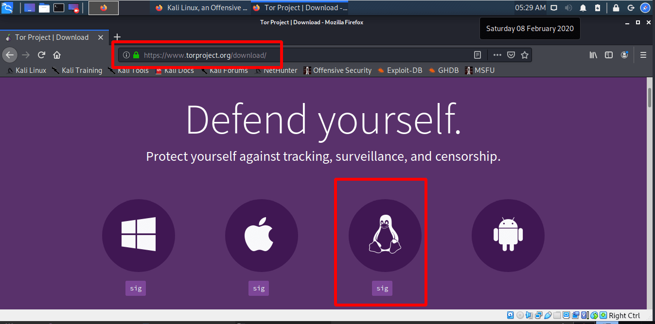 ubuntu тор браузера даркнет2web