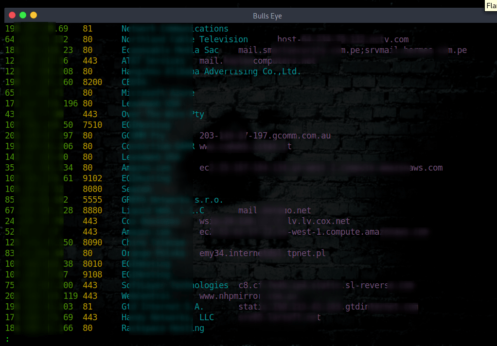 shodan search