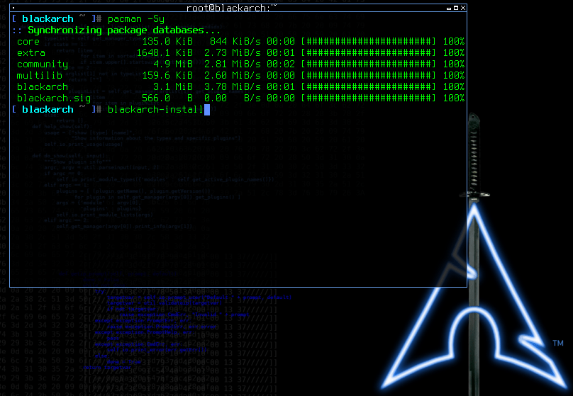 Execute the BlackArch install script